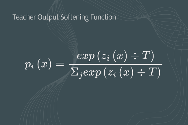 Teacher model training results and parameters