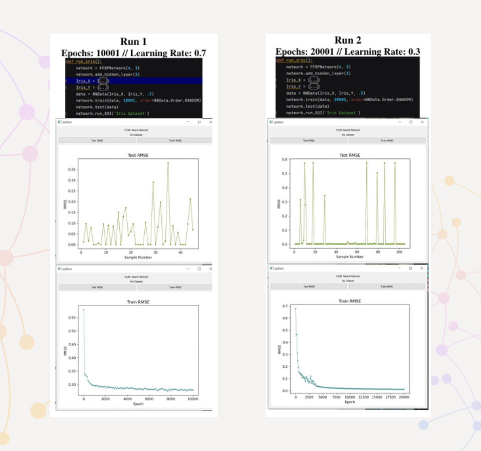 Iris dataset training results